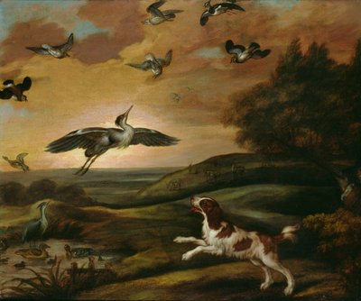 Caccia al piviere da Francis Barlow